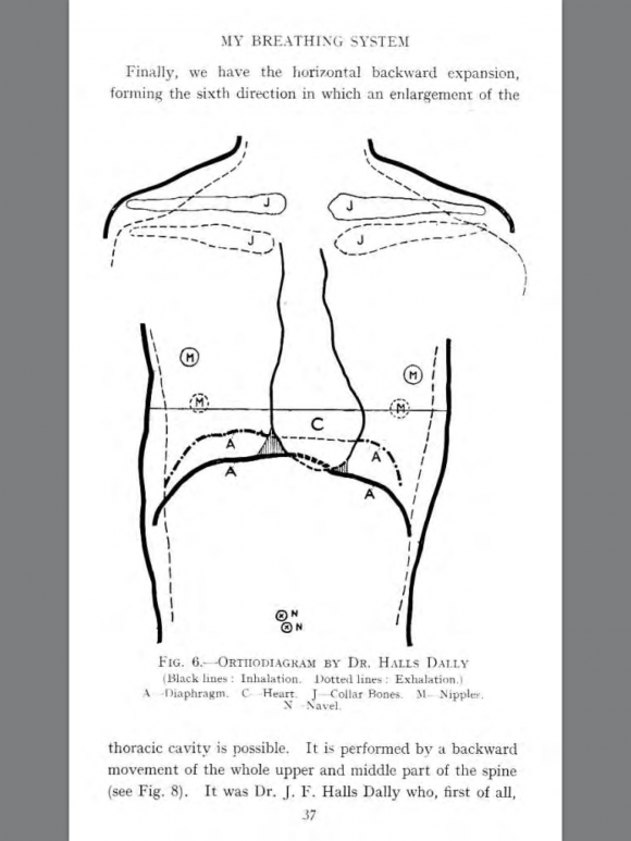 muller drawing 2
